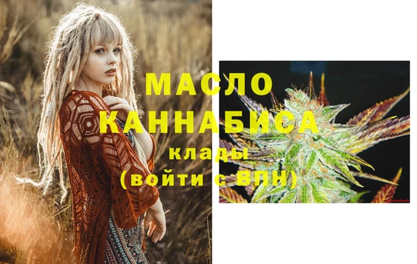 дмт Тавда