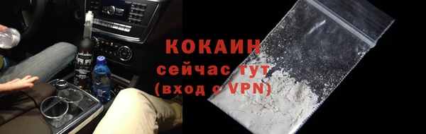 apvp Тайга