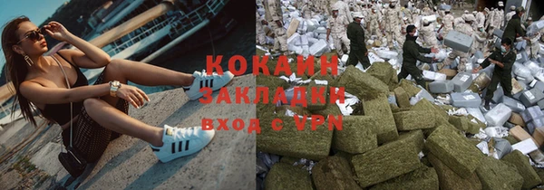 дмт Тавда