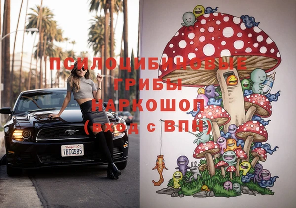 apvp Тайга