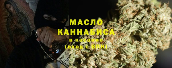 дмт Тавда