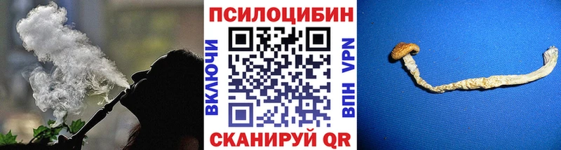 Псилоцибиновые грибы Cubensis  Купить  Зеленокумск 
